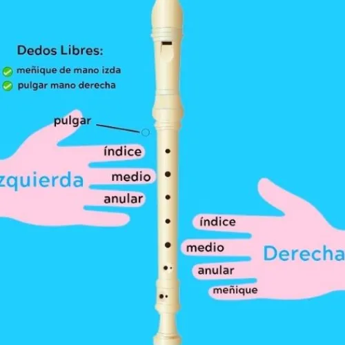 Útiles Y Kits Escolares< Dulce Flauta Sencilla Estuche Azul estudiantil