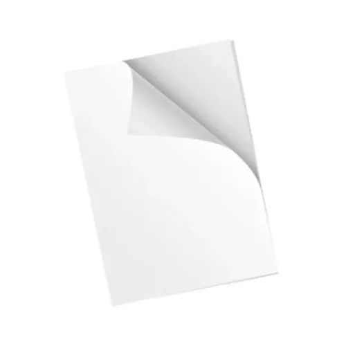 Papeleria | Productos Para Impresión< papel adhesivo Bond y Propalcote